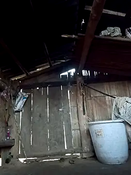 Mini66666 - Live now on Stripchat