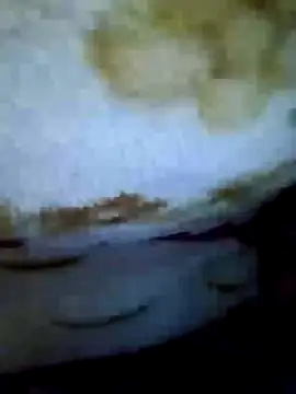 Alone_b0 - Live now on Stripchat