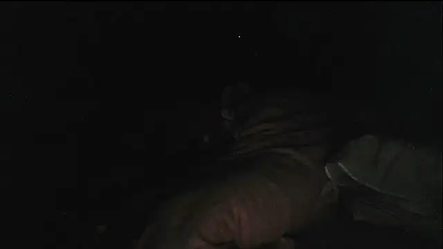 hebe-02 - Live now on Stripchat